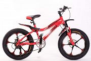 Bicicletă Duomax P3100 rosu 20